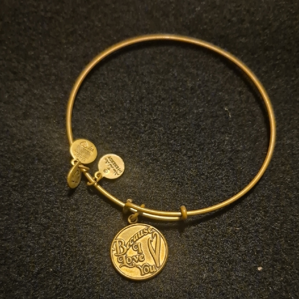 Alex and Ani Gold 'Because I Love You' Charm Bracelet